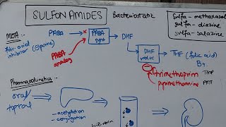 Sulfonamides SulfamethoxazoleTrimethoprim [upl. by Anitsyrhc]