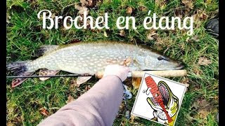 Pêche du brochet en étang au leurre GoProHD [upl. by Airtened538]