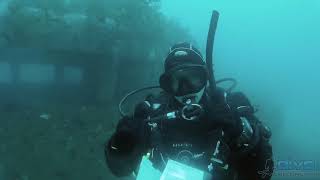 Scuba Diving the F69 Wreck in Wellington [upl. by Ardnola]