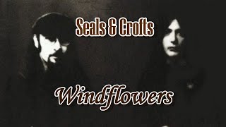 Windflowers  Seals amp Crofts Karaoke [upl. by Adnomal]