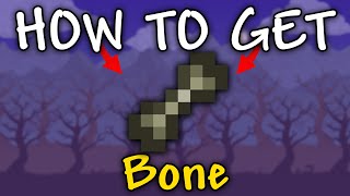 How to Get Bone in Terraria  How to get bones Terraria [upl. by Yerffoeg]