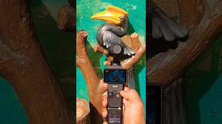 Dji Osmo Pocket 3 dji osmo djiosmopocket osmopocket3 gimbalcamera [upl. by Beeck]