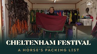 WHAT TO PACK WHEN TAKING A HORSE TO CHELTENHAM FESTIVAL [upl. by Story220]