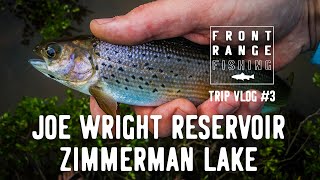 Fishing for Arctic Grayling in Colorado  Vlog 3 [upl. by Nohtan315]