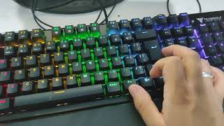 TECLADO TEAMWOLF GK800P REVIEW [upl. by Julius470]