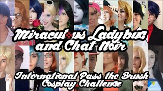 Miraculous Ladybug and Chat Noir  CMV  International Pass the Brush Challenge [upl. by Biernat]