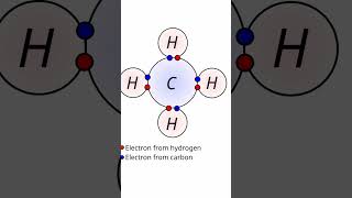 Nucleons Can Have VALANCE SHELLS science physics nuclear [upl. by Afihtan]