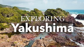 Guide to Japans Kagoshima and Yakushima Islands [upl. by Ethelda791]