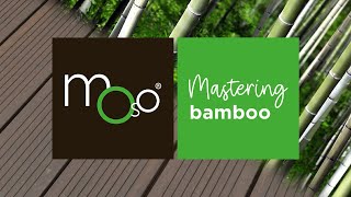 MOSO Bamboo Xtreme Production  From plant to product [upl. by Elise]