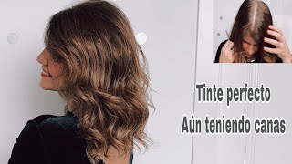 Cómo teñir el pelo en casa como una profesional  Tips trucos para que quede perfecto [upl. by Humberto862]