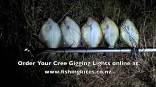 Spearing Flounder at Whangarei With Underwater Gigging Lights [upl. by Eentirb]