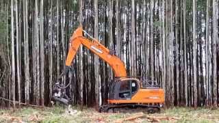 Harvesting Head Logset on Doosan and SDLG Excavator [upl. by Oremar]