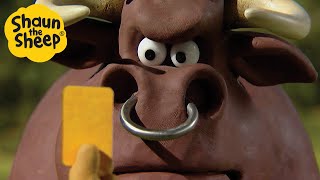 Shaun the Sheep 🐑 The Angry Bull 🐮🔴 Full Episodes Compilation 1 hour [upl. by Aelsel]