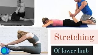 lower limb muscles stretching [upl. by Osi]