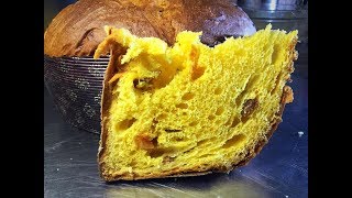 Panettone agrumi ricetta Maestro Alfonso Pepe  Primo impasto lievito madre [upl. by Shriner]