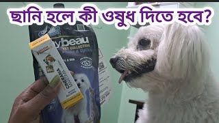 ছানি হলে কী করা উচিত cataract cataractsurgery dogcataract Sherukiduniya [upl. by Natlus59]