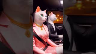 Cute Cats Makeup Party Adventure Funny Cartoon Short cartoon catlover cat animatedshorts [upl. by Nolyag]