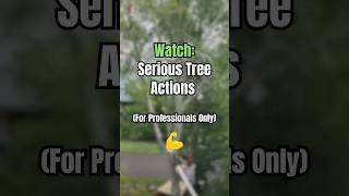 Serious Tree Actions 💪 [upl. by Layod]