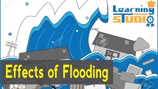 What are the effects of flooding [upl. by Skilken]