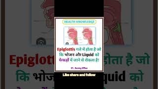 What is Epiglottis education health nursing nursingofficer medical gk students upsc shorts [upl. by Ayotna]