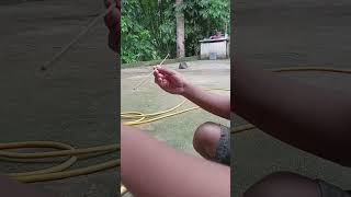 DAMANG KOSGAN GA AWAY MATIRA MATIBAYjashionyabranayvlogsspidergameplaysatisfyingviralvideo [upl. by Sherourd]