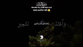 Why You Should Read Surah Mulk Every Night [upl. by Cousin]