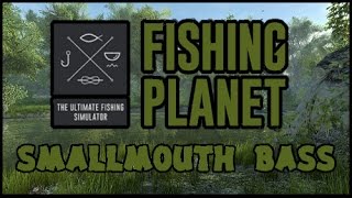 Fishing Planet  Bass Małogębowy Gameplay  60fps [upl. by Nonac]