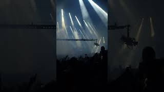 Habits Stay High Tove Lo  Martin Garrix  Sziget 10082024 [upl. by Esojnauj]