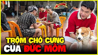 ĐỨC MÕM Bật Khóc Khi CHÓ PUKA Mất Tích  DUY BIN COMEBACK [upl. by Ekoorb]