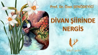 DİVAN ŞİİRİNDE NERGİS  Prof Dr Özer ŞENÖDEYİCİ [upl. by Koo]