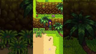 O que é aquele botão na caverna  Stardew Valley [upl. by Powel]