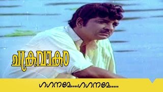 Malayalam video song  Gaganame Gaganame  Vayalar  Shanker ganesh  K J Yesudas [upl. by Kore]