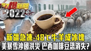 【極端氣候】20年未見！新疆急凍48℃牛羊成冰塊 美暴風雪沙國洪災 反聖嬰下未來喝不到咖啡？ 江中博 康仁俊【57爆新聞 萬象搜奇】 [upl. by Eseneg292]