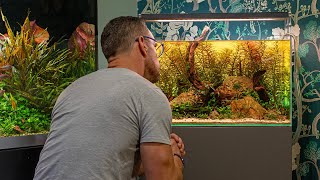 THIS ONE AQUARIUM HACK CHANGES EVERYTHING 4K [upl. by Studdard]