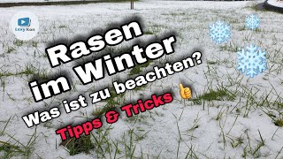 🧑🏻‍🌾 RASENPFLEGE BEI FROST amp SCHNEE IM WINTER ❄  DAS IST ZU BEACHTEN❗ [upl. by Ho308]