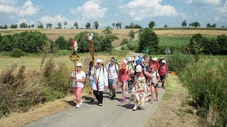 Karmelitańska Piesza Pielgrzymka z Przemyśla na Kalwarię Pacławską  2019 [upl. by Gairc401]