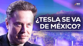 TESLA Los motivos de ELON MUSK para detener la GIGAFACTORY en Nuevo León [upl. by Eelrak]