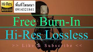 Burn In HD  Speakers and Headphones Burn In V423 [upl. by Nhguahs462]