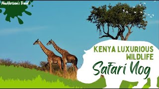 Kenya’s Most Luxurious Safari Lodges and Wildlife Retreats [upl. by Eidahs632]