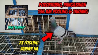 POZORRUBIO PANGASINAN 136 KM POOLING amp TRAINING  2X POOLING WINNER NA KAPTID NI quot116quot [upl. by Whatley5]