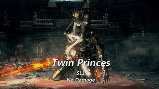 Dark Souls 3 Twin Princes SL1 No Damage [upl. by Olivier718]