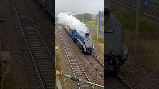 Locomotive Services Ltd ECS 3752160007 “Sir Nigel Gresley”  Baldwins Gate 🚂🚂 [upl. by Nileve]