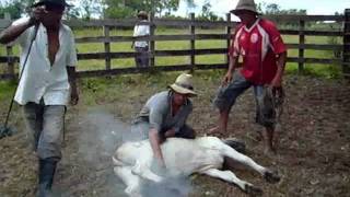 Trabajo de Llano Rondón 1mp4 [upl. by Badger]