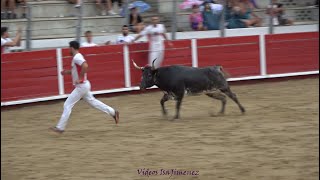 Concurso de anillas Zuera Zaragoza – 29082024  Asier Estarriaga y Edgar Teixeira  FINAL  HD [upl. by Ahsatak]