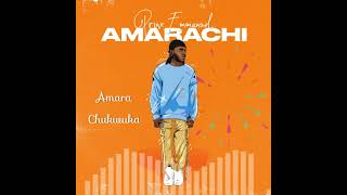 Prinx Emmanuel  Amarachi lyrics video [upl. by Atinnor161]