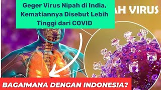 Gejala Virus Nipah yang Memakan Banyak Korban di India [upl. by Skutchan]