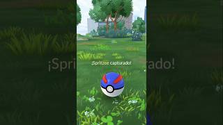 Capturando spritzee shiny ✨️ [upl. by Fancie324]