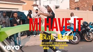 Blak Ryno  Mi Have It Official Video [upl. by Ellicul]