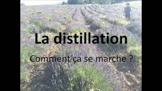 La distillation pour obtenir lhuile essentielle  comment ça marche [upl. by Euqinot584]