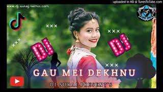 Gaume Dekhnu Galiyare Me Dekhnu  New Tharu Dj Song  2020 [upl. by Oicneconi]